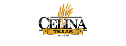 Celina Texas home inspections