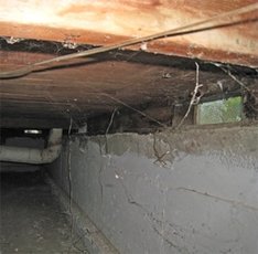crawlspace under home scary needs inspection
